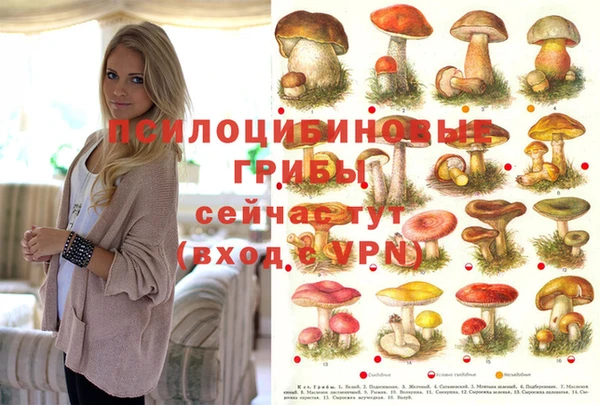 дурь Вязники