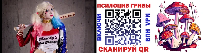 гидра как зайти  Самара  Псилоцибиновые грибы мицелий 